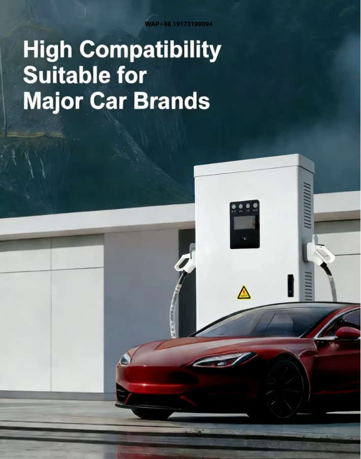 신에너지차(NEV) 충전기, 240kW 듀얼건 전기차( - Ev Charging Pile 리뷰 및 가격