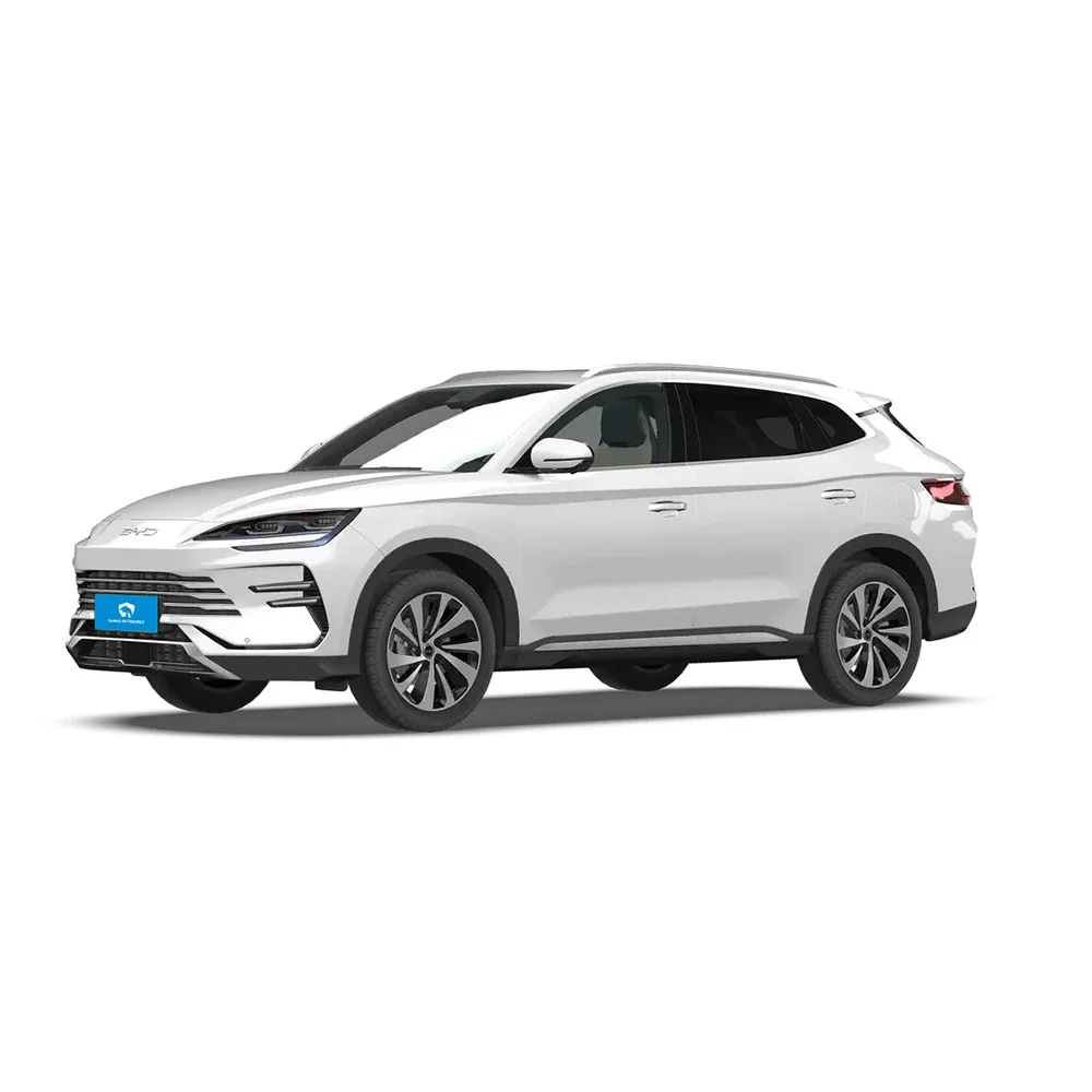 가정용 벽걸이형 BYD 충전소 3.5kW 7kW BYD - Home Ev Charger 리뷰 및 가격