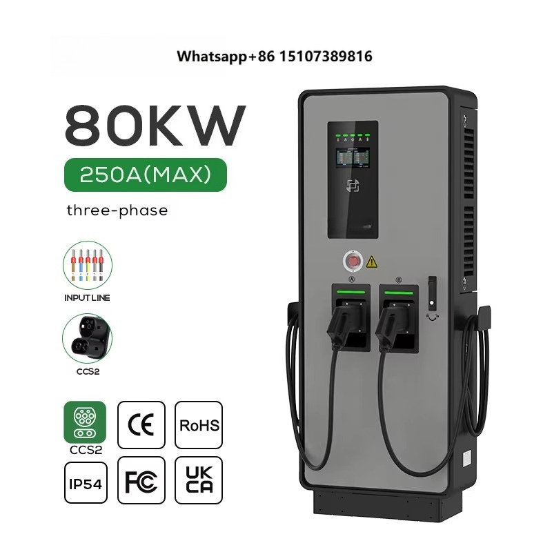듀얼 DC 전기차 충전기 40kW 80kW CCS2 D - Ev Charging Pile 리뷰 및 가격